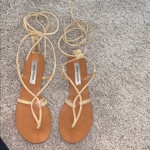 lace up steven maddens. size 8